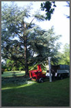 Chubb Tree Care : Damaged Tree Removed in Sections