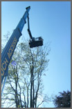 Chubb Tree Care : High Access Equipment Used